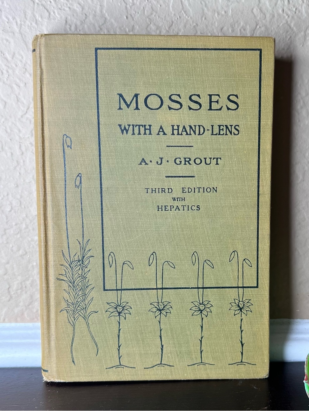 Antique Mosses With a Hand Lens 1924 A J Grout Hardcover Moss Study Field Guide